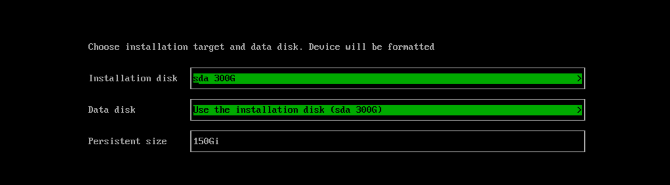 choose-installation-target-data-disk.png